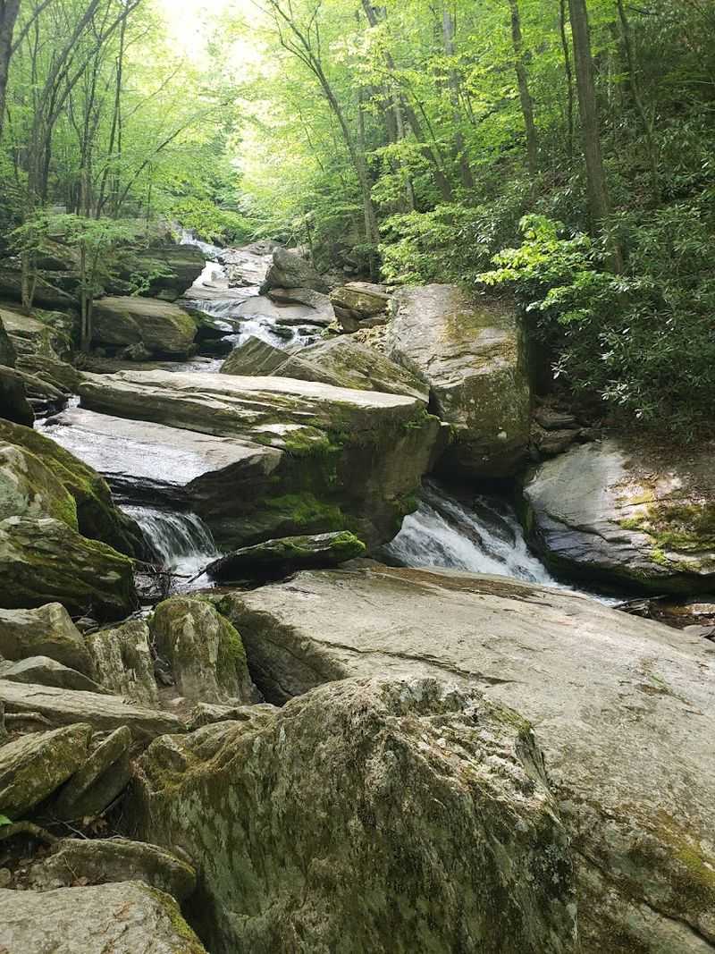 Hiking and Outdoor Life in the Surrounding Area Hiking and Outdoor Life in the Surrounding Area
