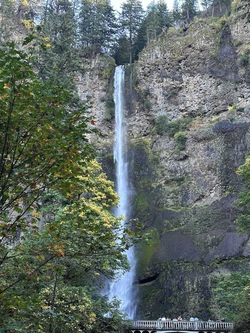 Hiking the Gorge: Trails for Every Level
