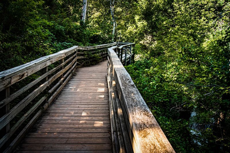 Hiking the Jim MacAllister Nature Trail