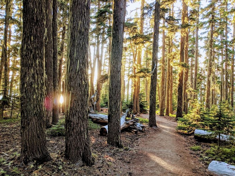 Hiking the Trails Around the Lake