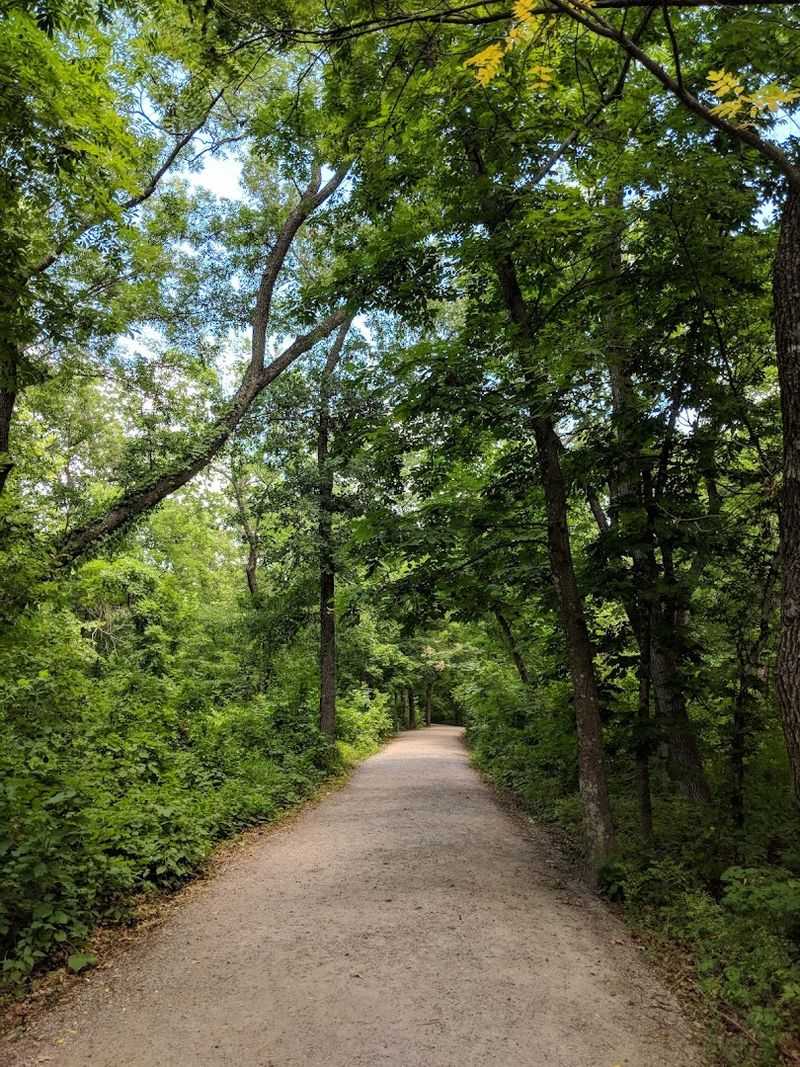 Hiking the Trails: Exploring Beyond the Creek Banks