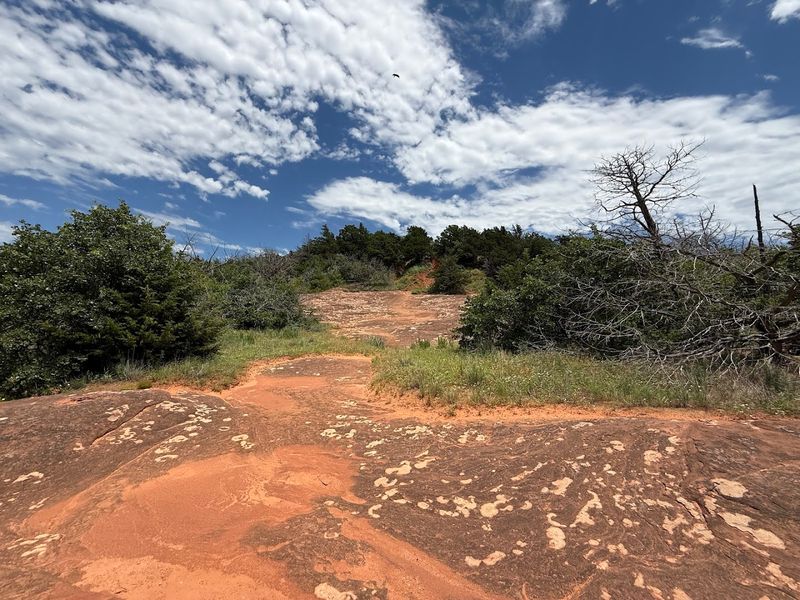 Hiking the Trails: What to Expect on the Ground Hiking the Trails: What to Expect on the Ground