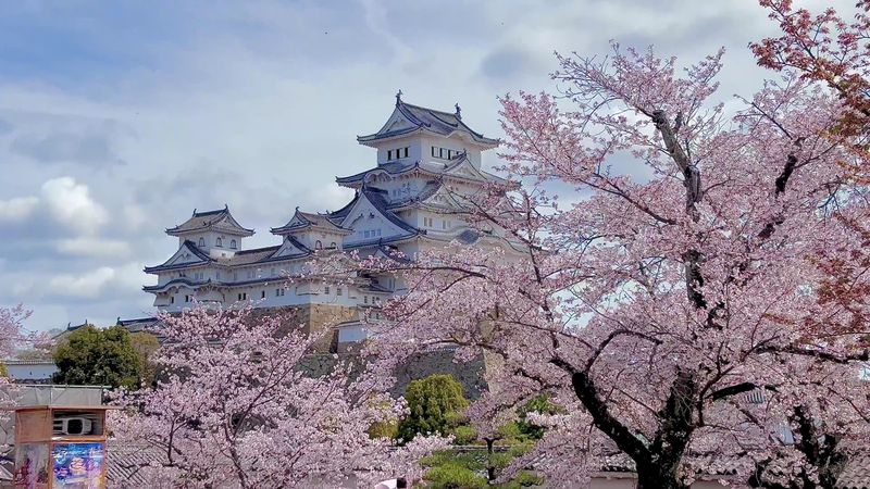 Himeji Castle (Japan)