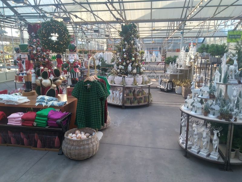 Holiday Events and Live Music at the Garden Center