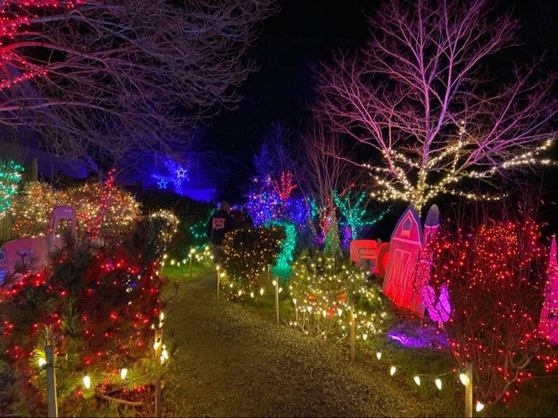 Holiday Lights and Seasonal Events