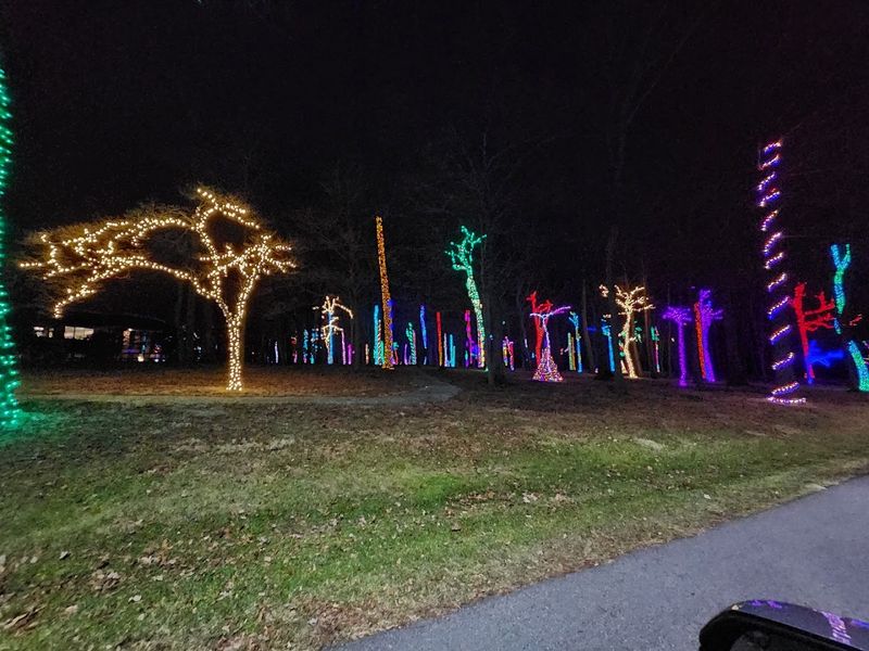 Holiday Lights and Seasonal Touches That Add Extra Charm