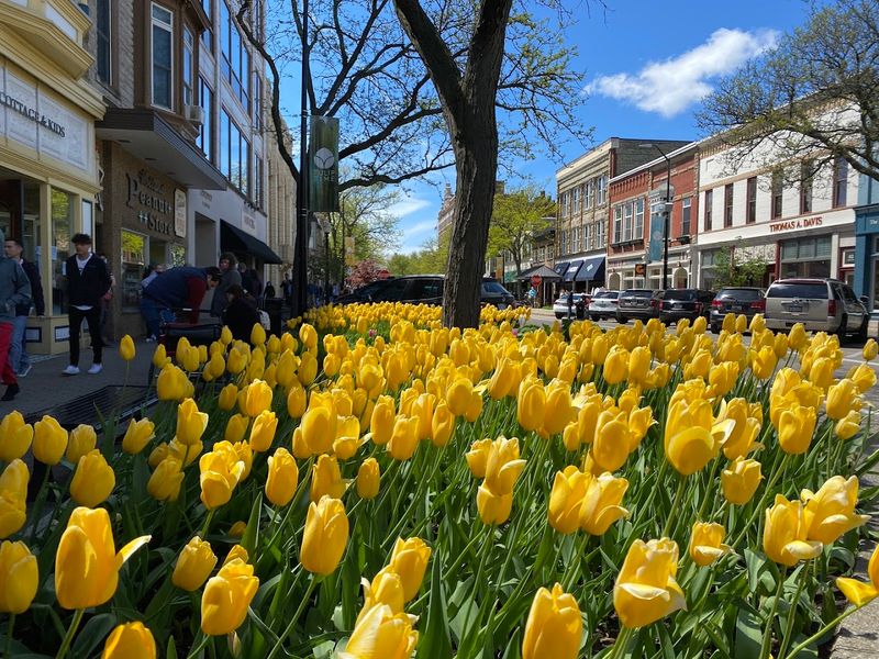 Holland, Michigan — Netherlands Holland, Michigan — Netherlands