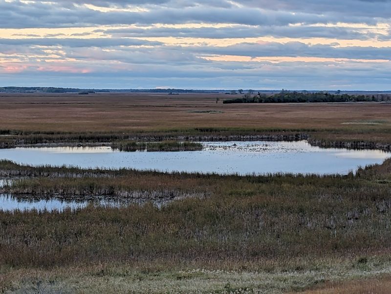 Horicon Marsh State Wildlife Area, Mayville, Wisconsin