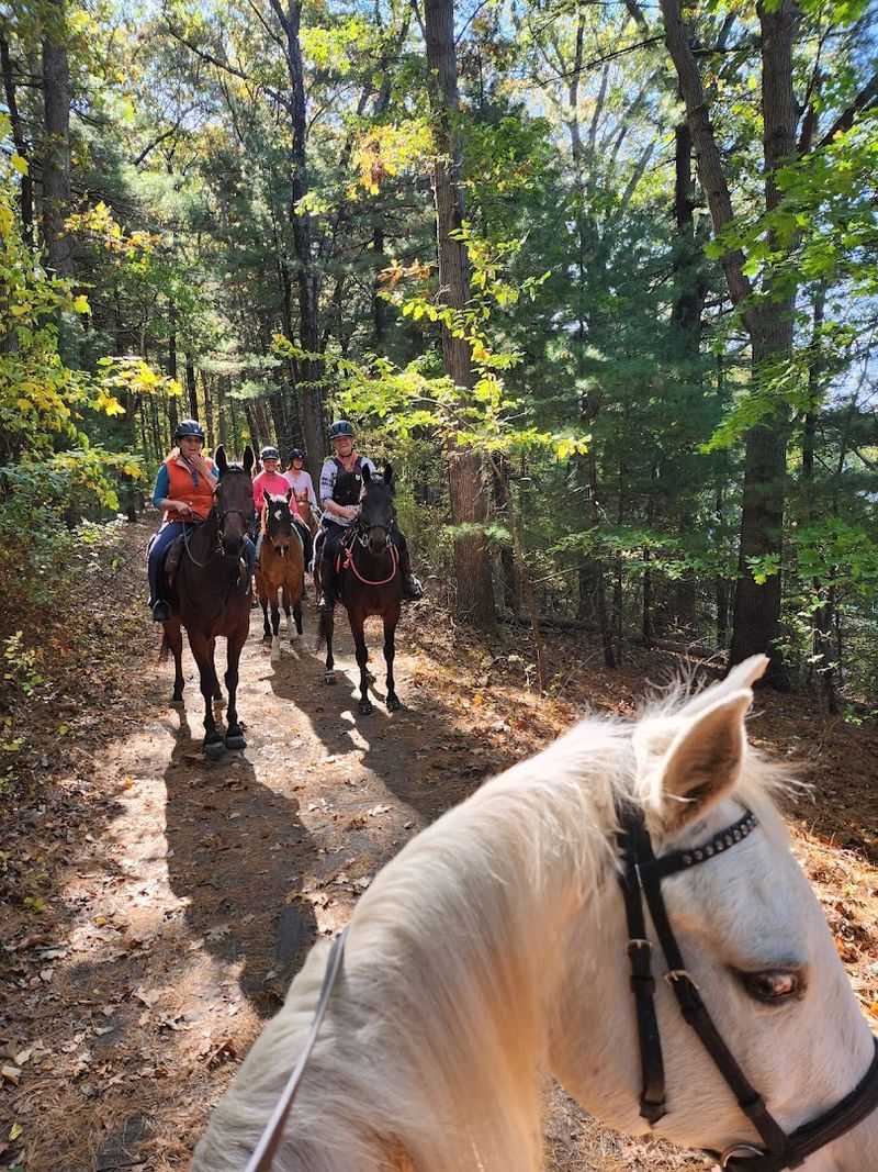 Horse Trails And Equestrian Activities Horse Trails And Equestrian Activities