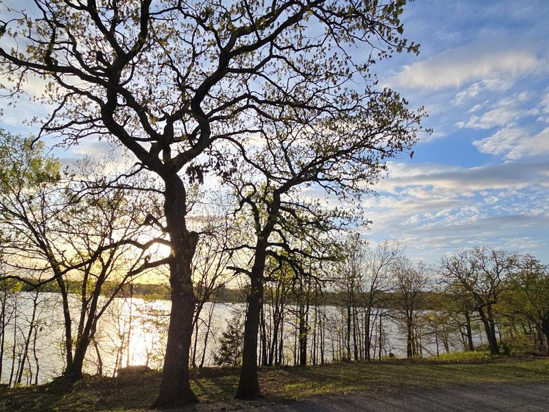 Horse Trails and the Wilder Side of the Lake