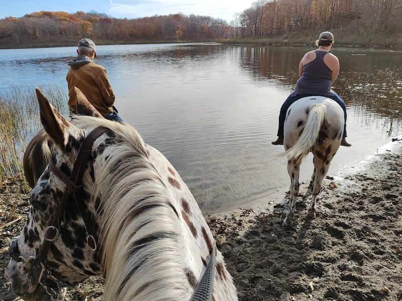 Horseback Riding Through Hardwood Country