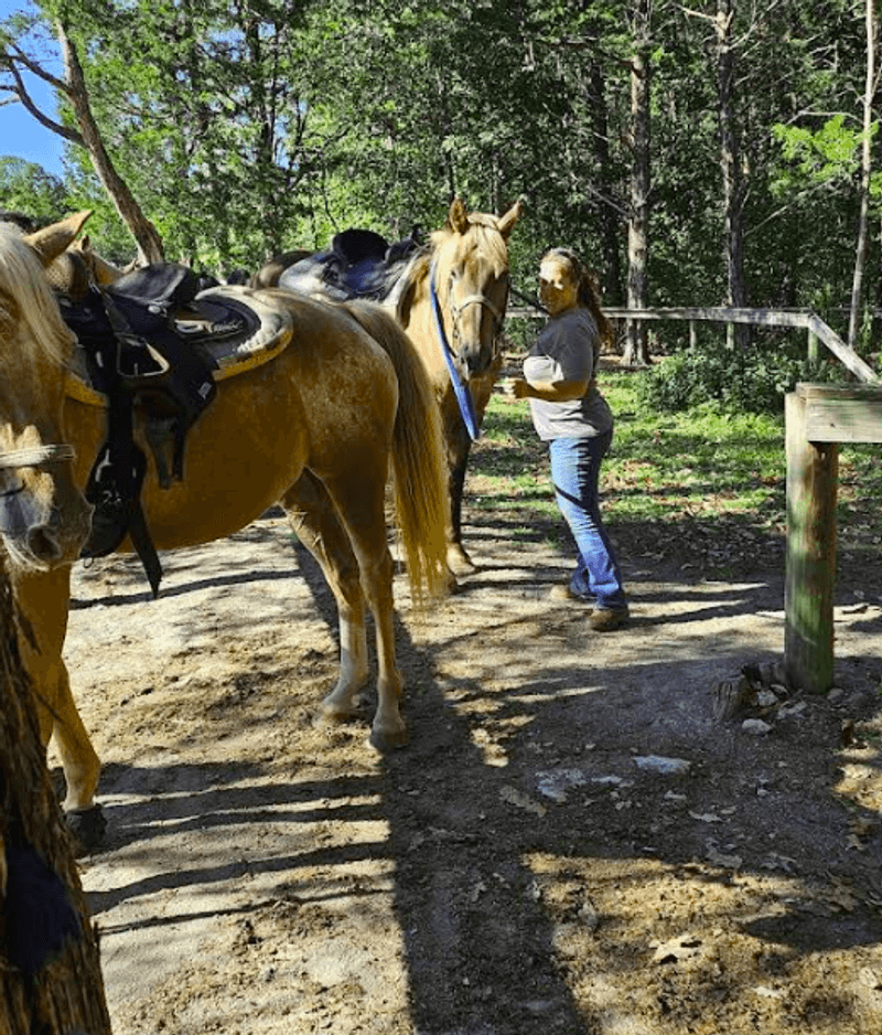 Horseback Riding Through The Cedar Forest Horseback Riding Through The Cedar Forest