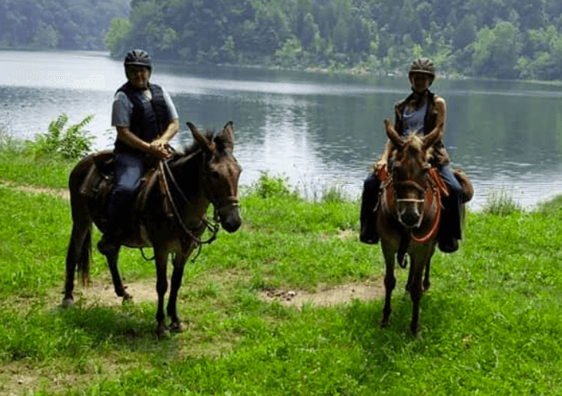 Horseback Riding Trails and Equestrian Facilities Horseback Riding Trails and Equestrian Facilities