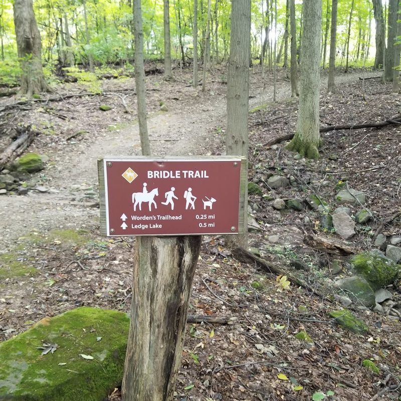 Horseback Riding and Other Trail Options Horseback Riding and Other Trail Options