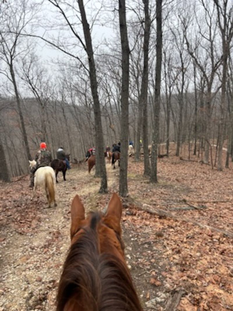 Horseback Riding and the Equestrian Culture Here