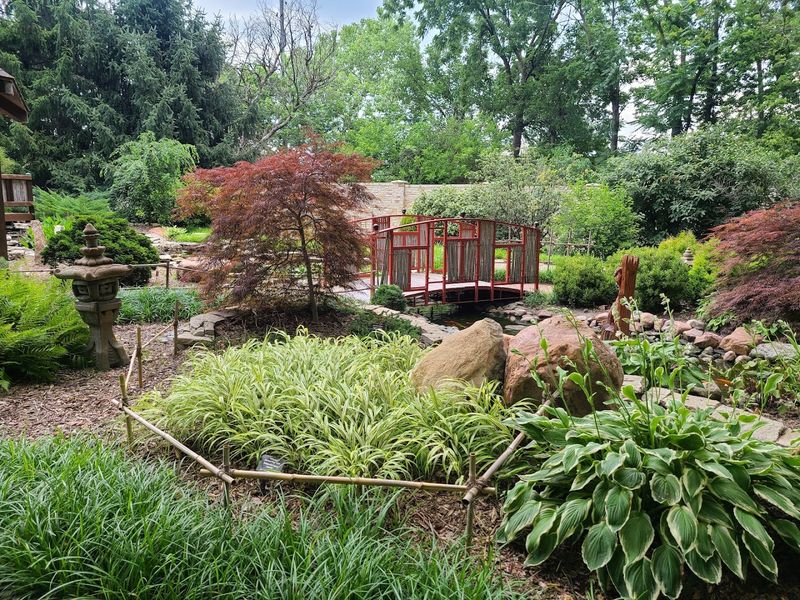 Hostas, Daylilies, and a Garden with National Recognition