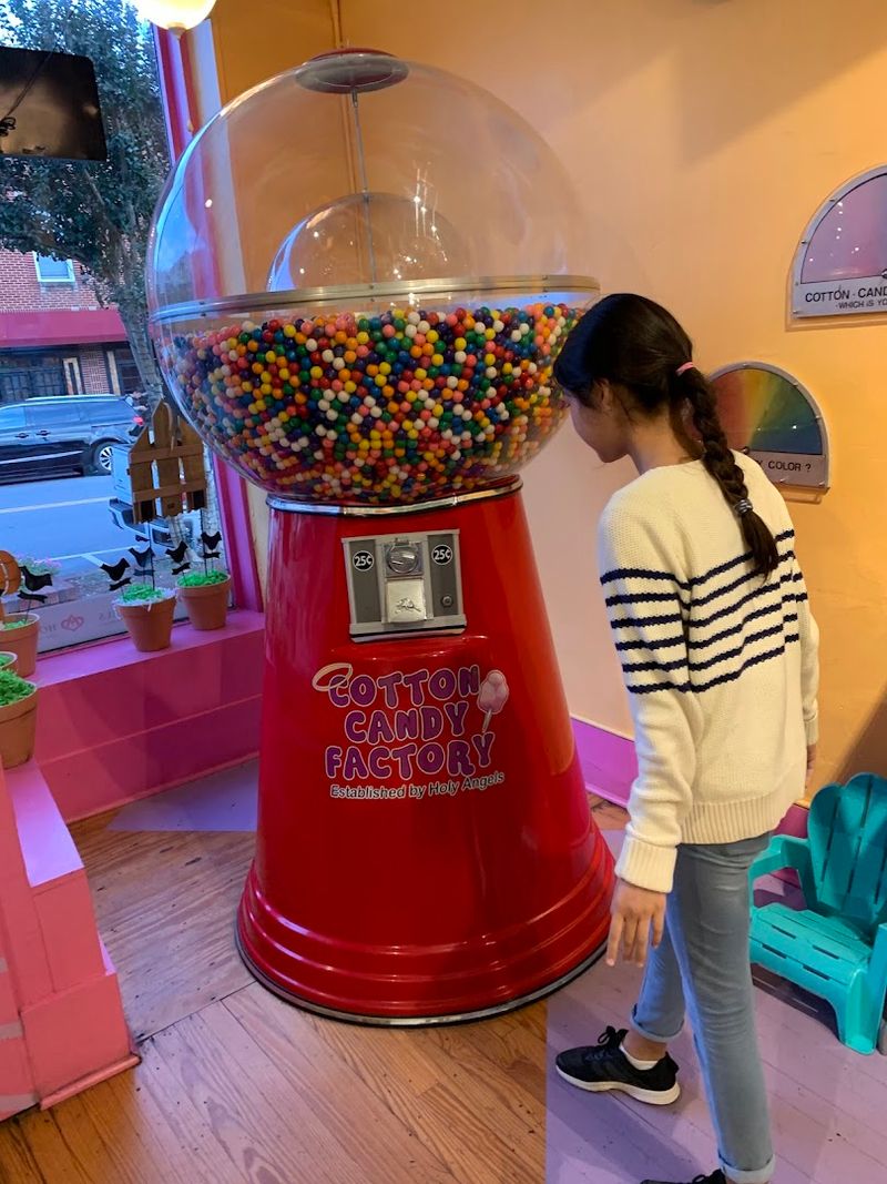 Hours, Pricing, and What to Expect on Your Visit