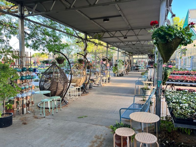 Hours, Tips, and the Best Time to Visit