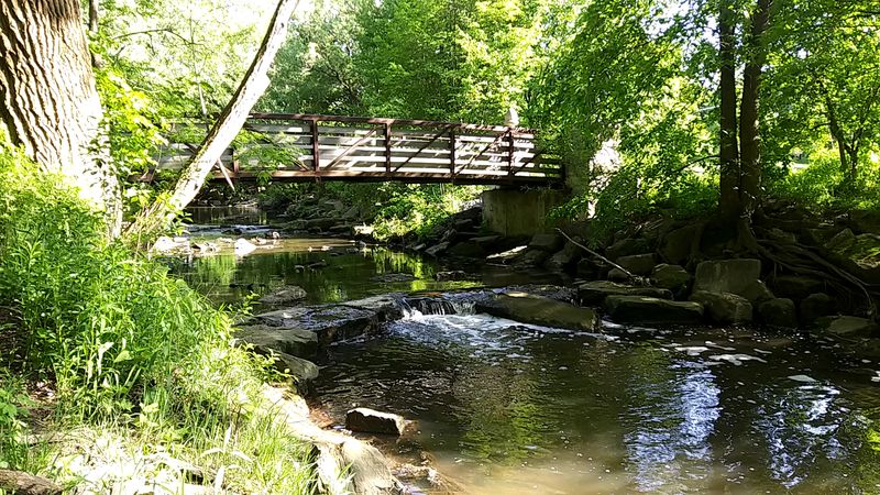 How 200 Acres Became a Tree Lover's Playground How 200 Acres Became a Tree Lover's Playground