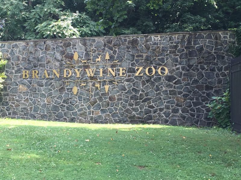 How 4.7 Acres Became a Beloved Institution How 4.7 Acres Became a Beloved Institution