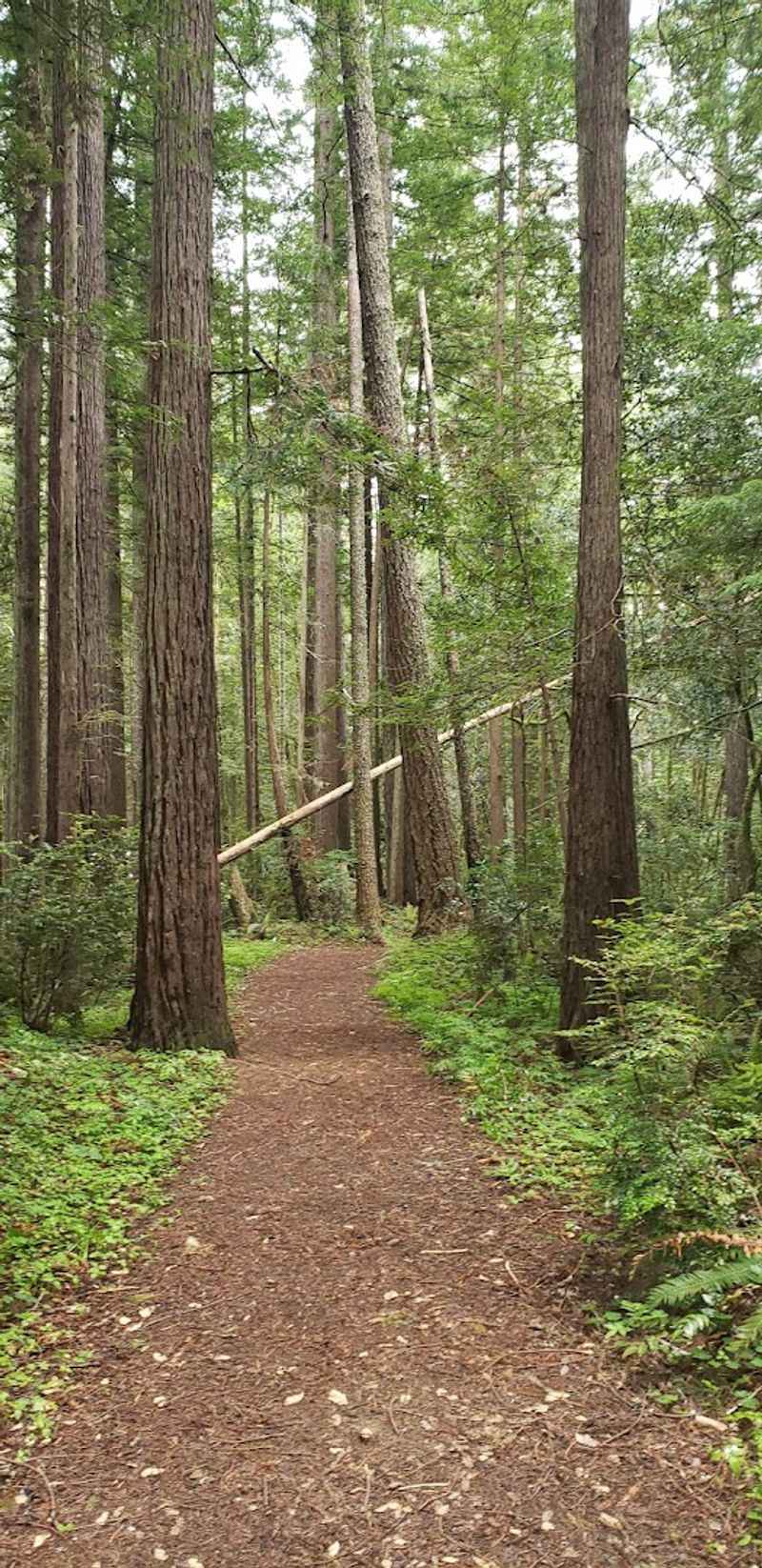 How Difficult Is the Hike, Really