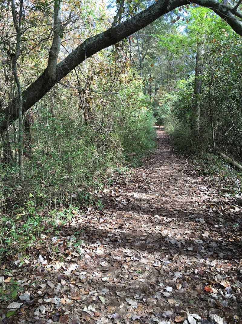 How Long the Trail Actually Takes How Long the Trail Actually Takes