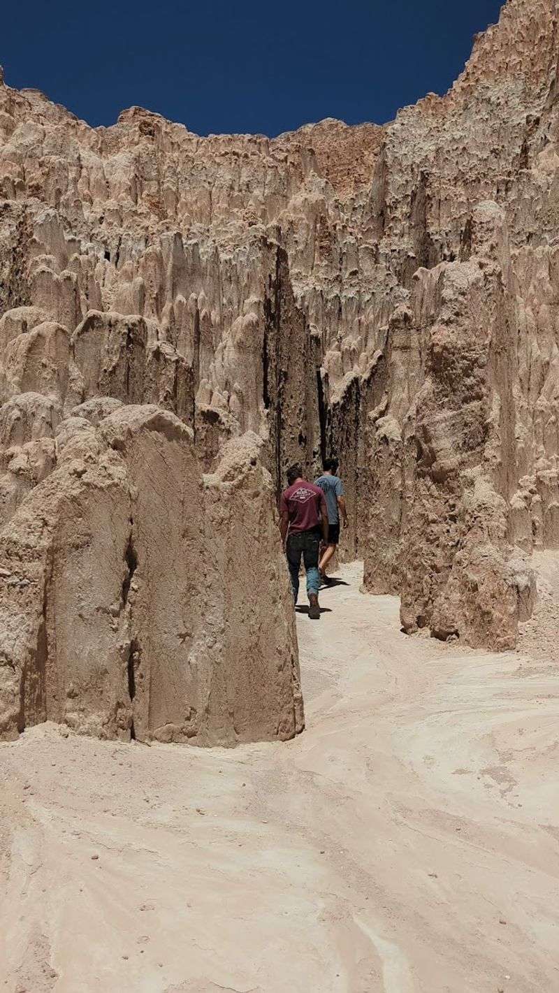 How Physically Demanding the Exploration Really Is How Physically Demanding the Exploration Really Is