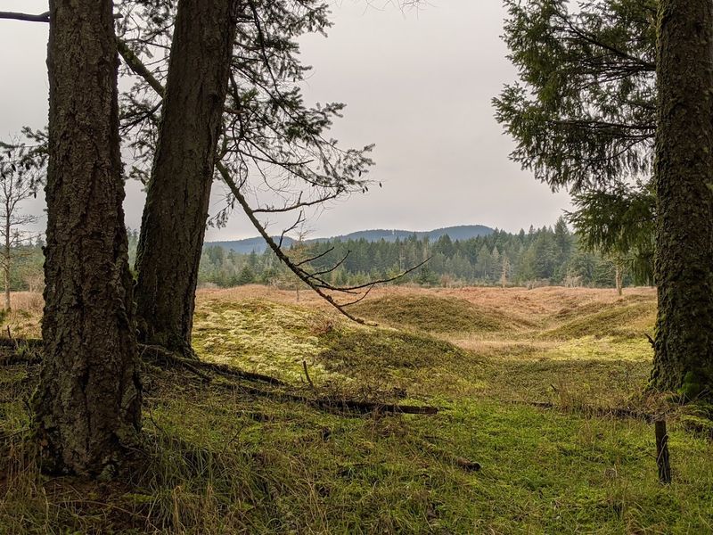 How The Mounds Fit Into Washington's Volcanic Landscape