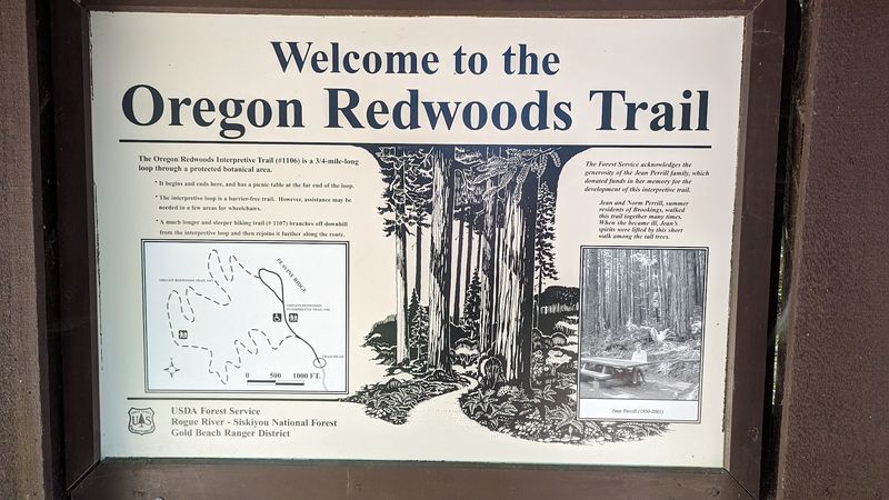 How This Trail Compares to the Famous California Redwood Parks