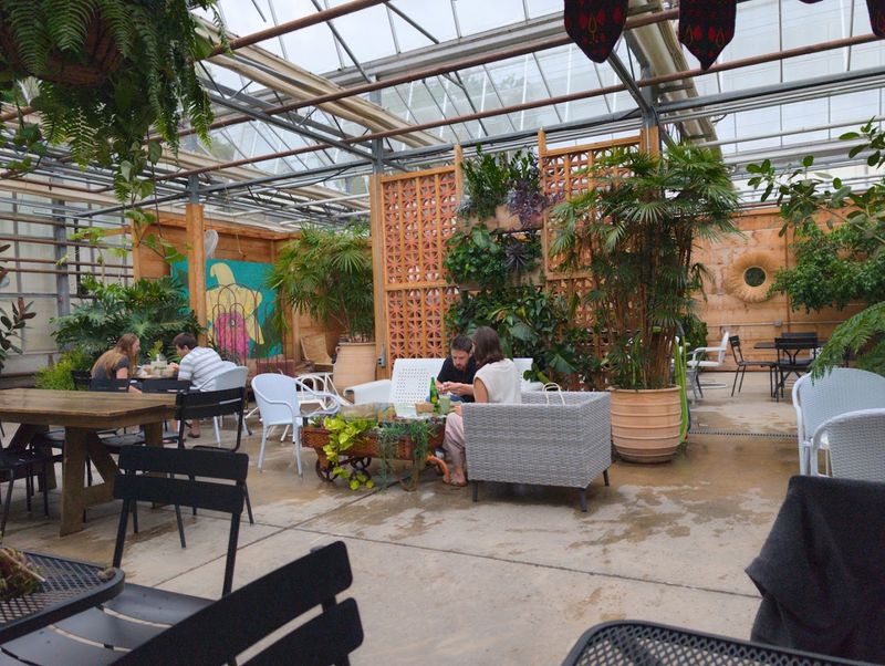 How a Garden Center Became a Coffee Destination How a Garden Center Became a Coffee Destination