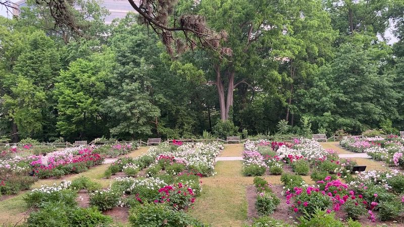 How a Landscape Architect Turned a Hillside Into a Legacy