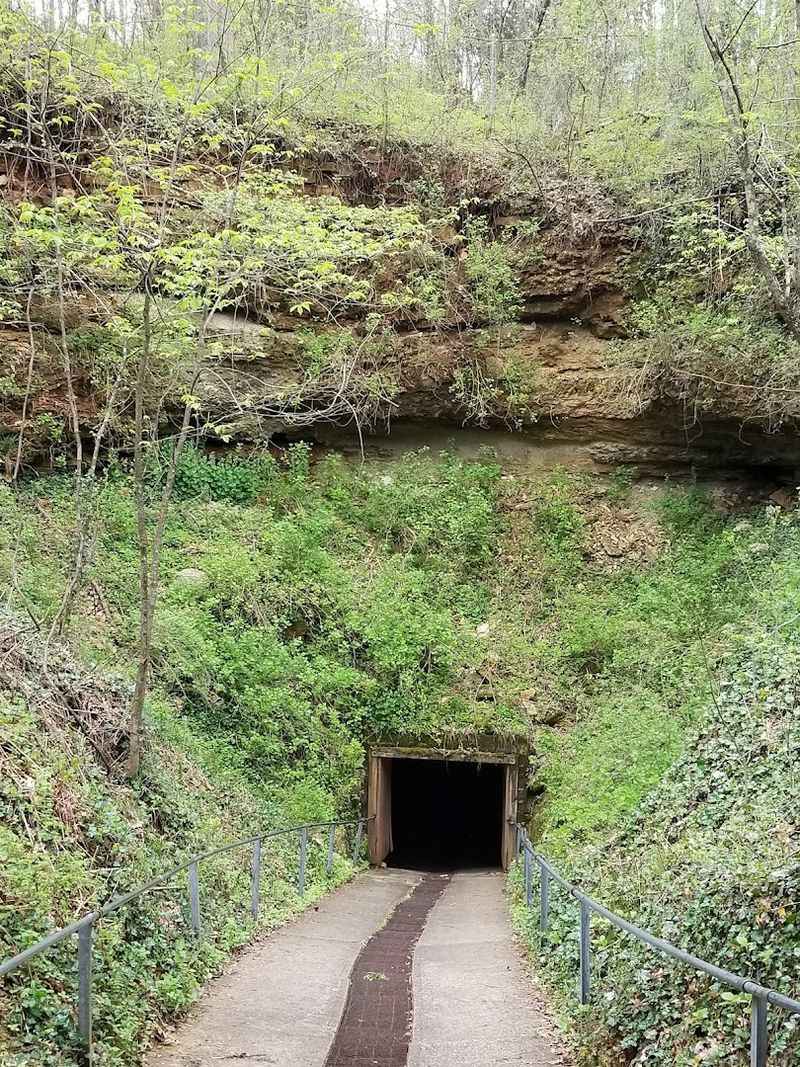 How a Sinkhole Changed Everything