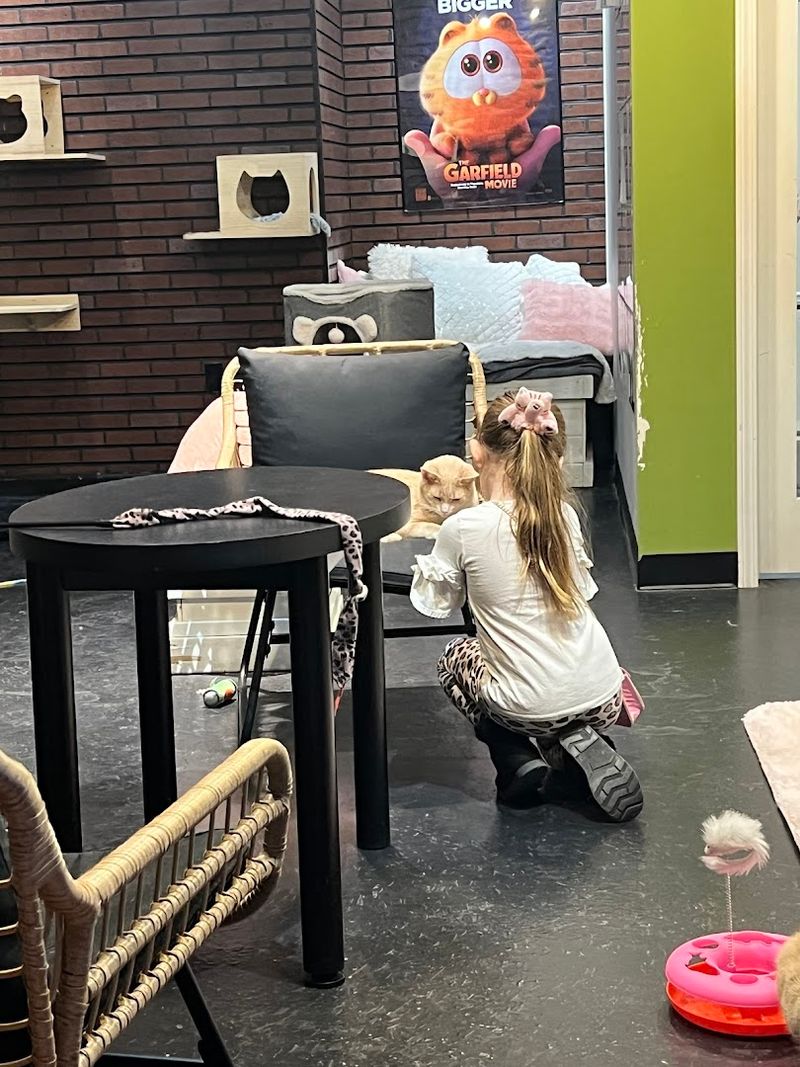 How the Cafe Supports Its Rescue Mission