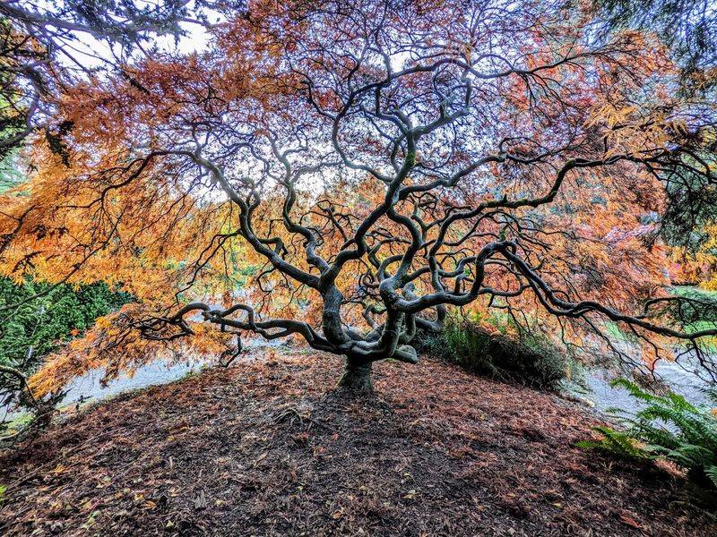 How the Garden Changes Through the Seasons