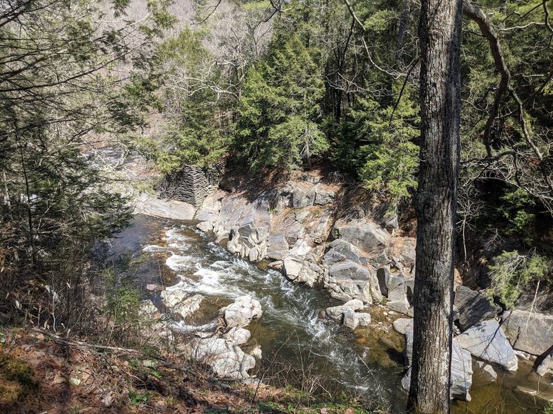 How the Gorge Connects to Gilbert A. Bliss State Forest