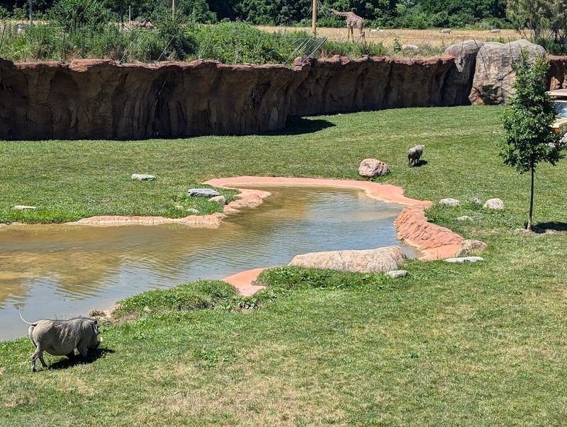 How the Habitat Design Sets This Place Apart How the Habitat Design Sets This Place Apart