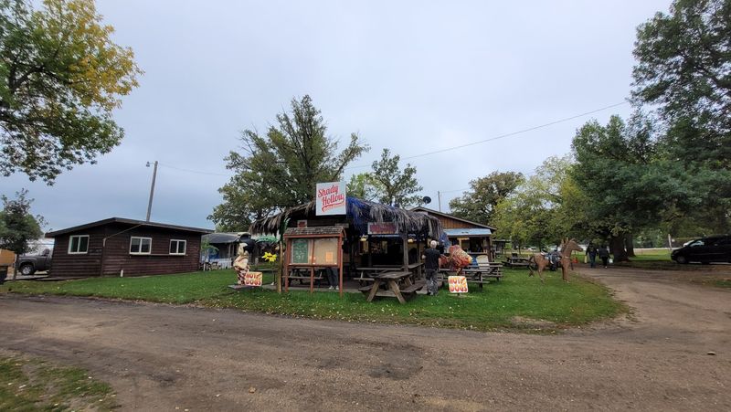 How the Market Handles Rain and Off-Season Visits