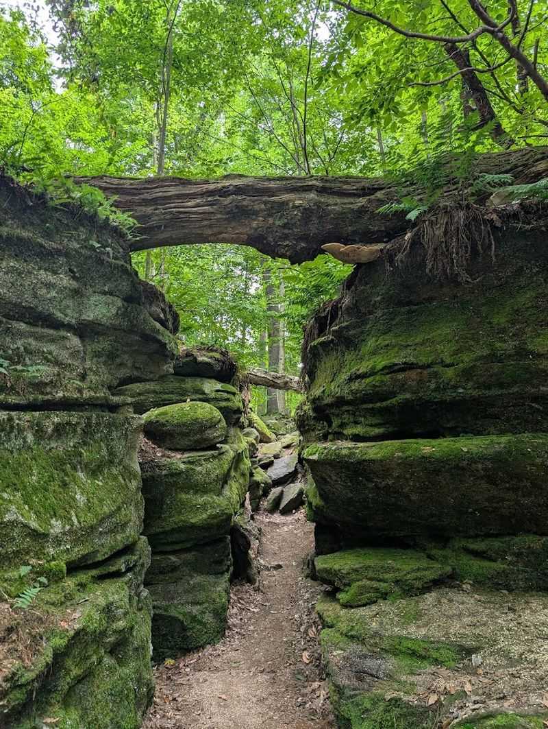 How the Park Compares to Other Western NY Natural Sites