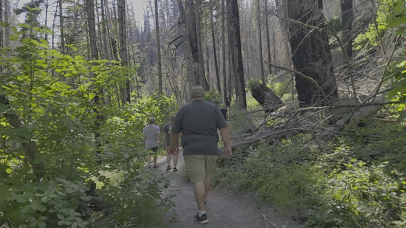 Hydration, Safety Tips, and Trail Footwear Advice Hydration, Safety Tips, and Trail Footwear Advice