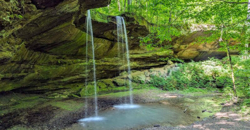 Indiana’s Only Federal Wilderness Is Tucked Inside This National Forest With 260 Miles of Trails