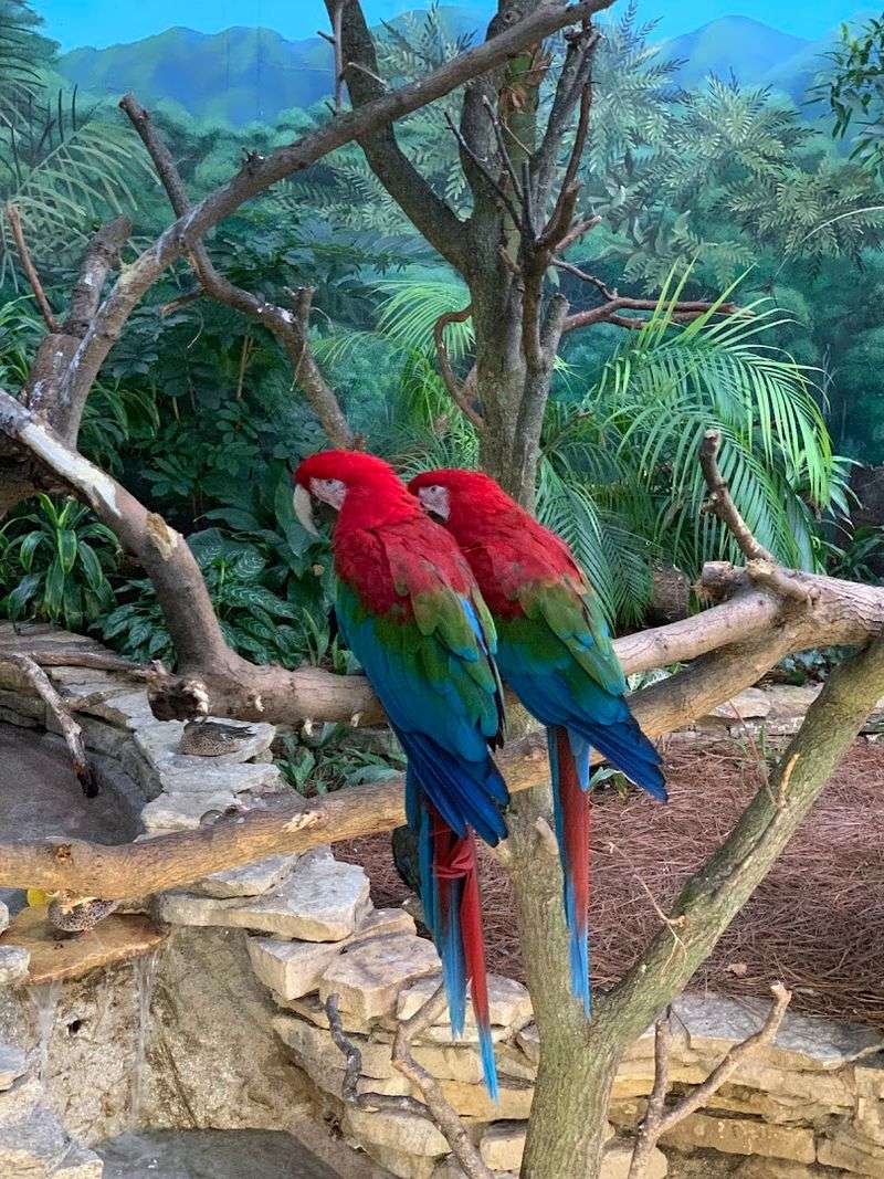Indoor Exhibits: Where the Zoo Comes Alive in Any Weather Indoor Exhibits: Where the Zoo Comes Alive in Any Weather