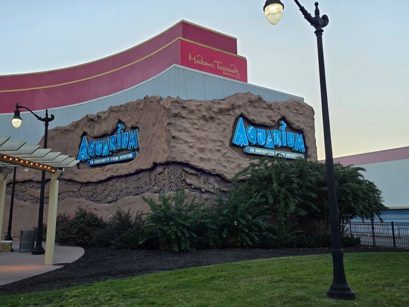 Inside Opry Mills: Location Perks Worth Knowing Inside Opry Mills: Location Perks Worth Knowing