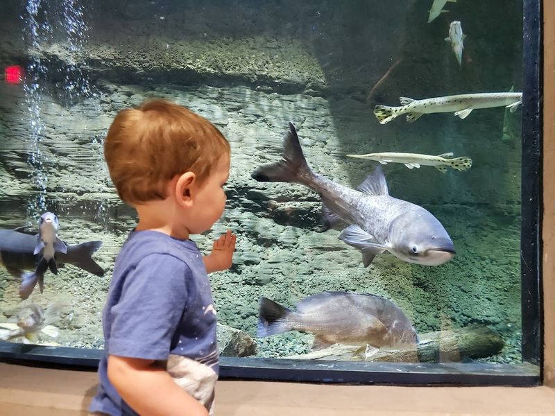 Inside the Schramm Education Center and Its Aquarium Tanks