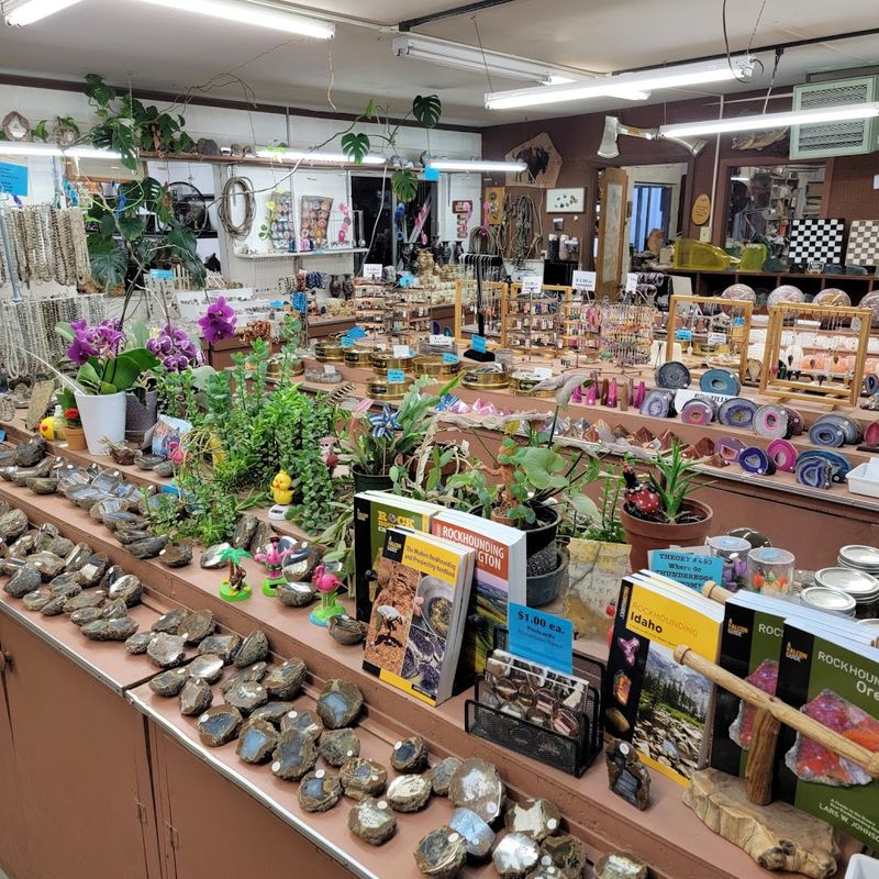 Inside the Shop: Polished Pieces and Global Finds