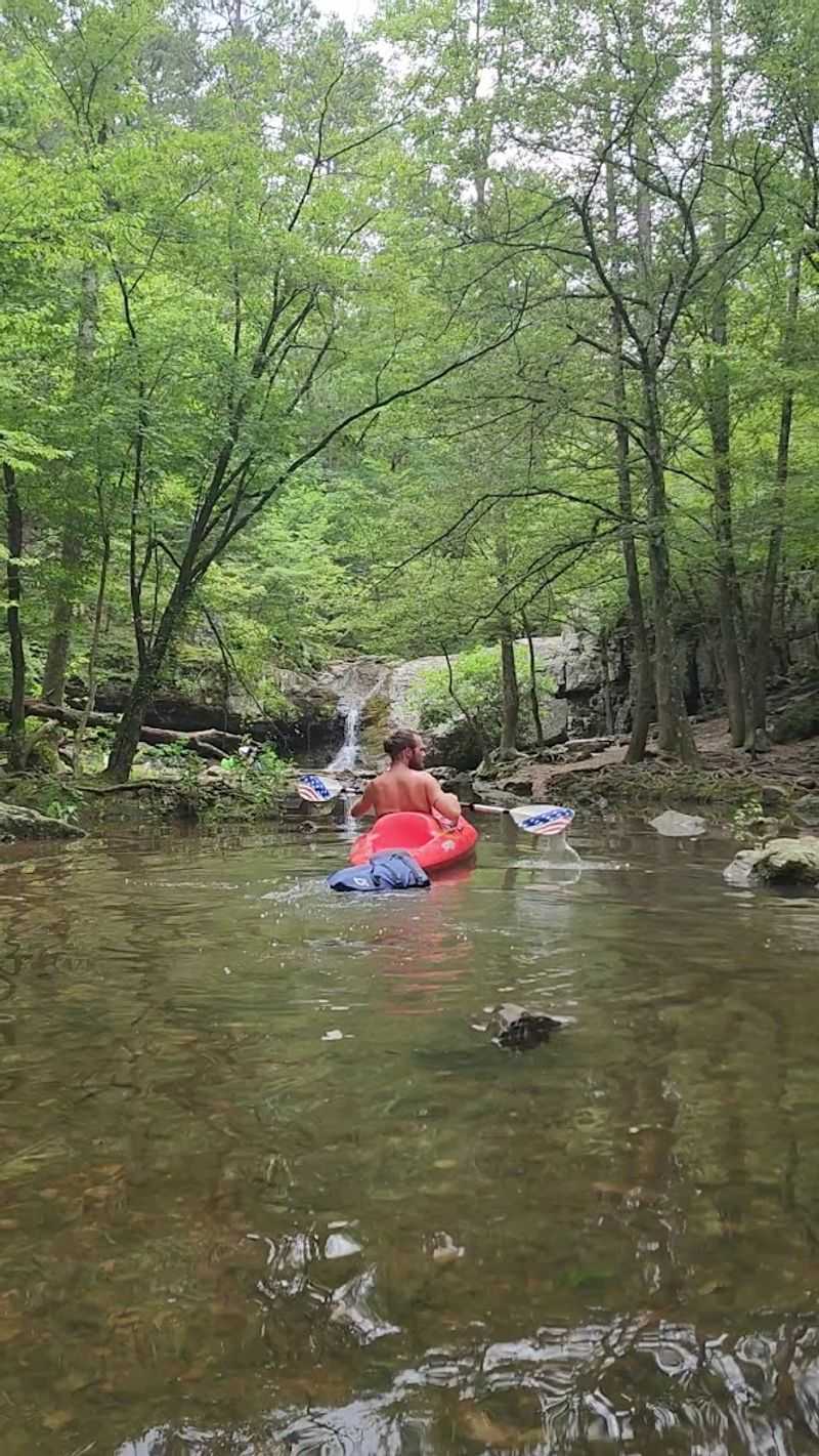 Interpretive Programs and Guided Adventures: Learning While You Explore