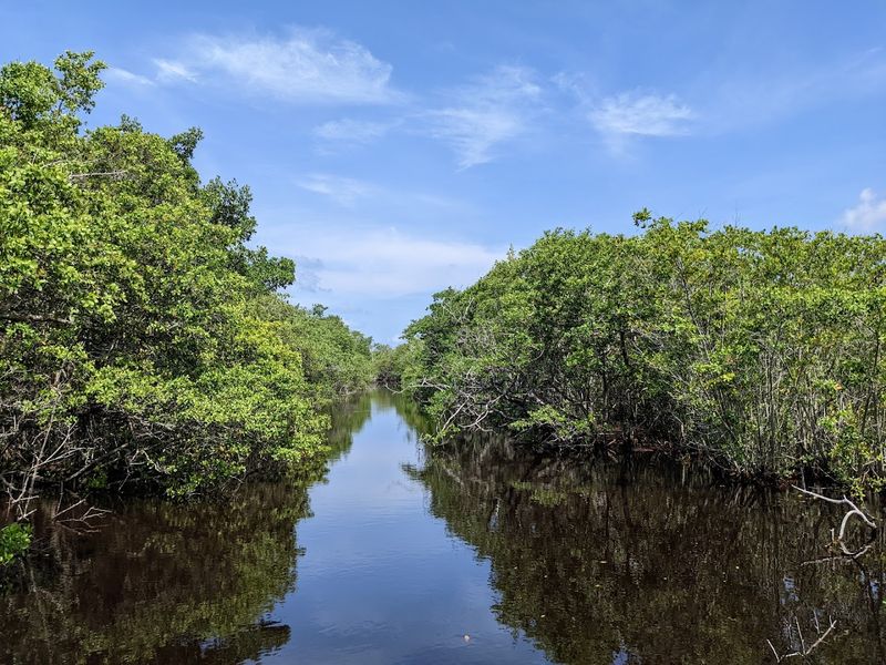 J.N. Ding Darling Wildlife Society Observation Tower, Sanibel, Florida