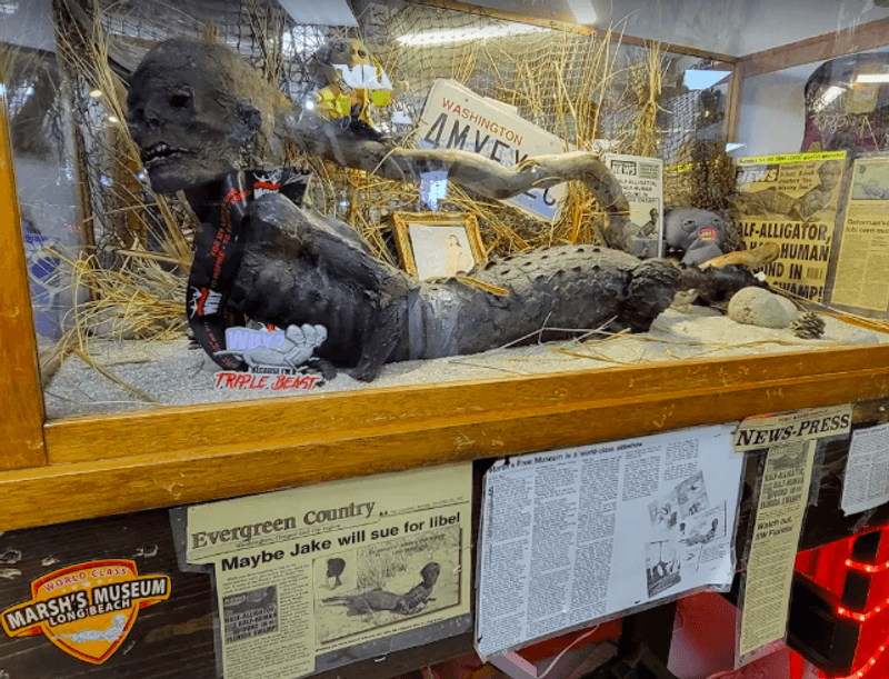 Jake the Alligator Man: The Star of the Show Jake the Alligator Man: The Star of the Show