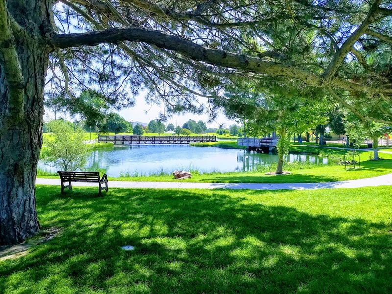 Jane Beran's Vision and the Community That Built It Jane Beran's Vision and the Community That Built It