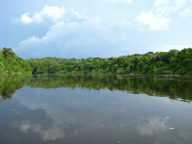 Japurá River Japurá River