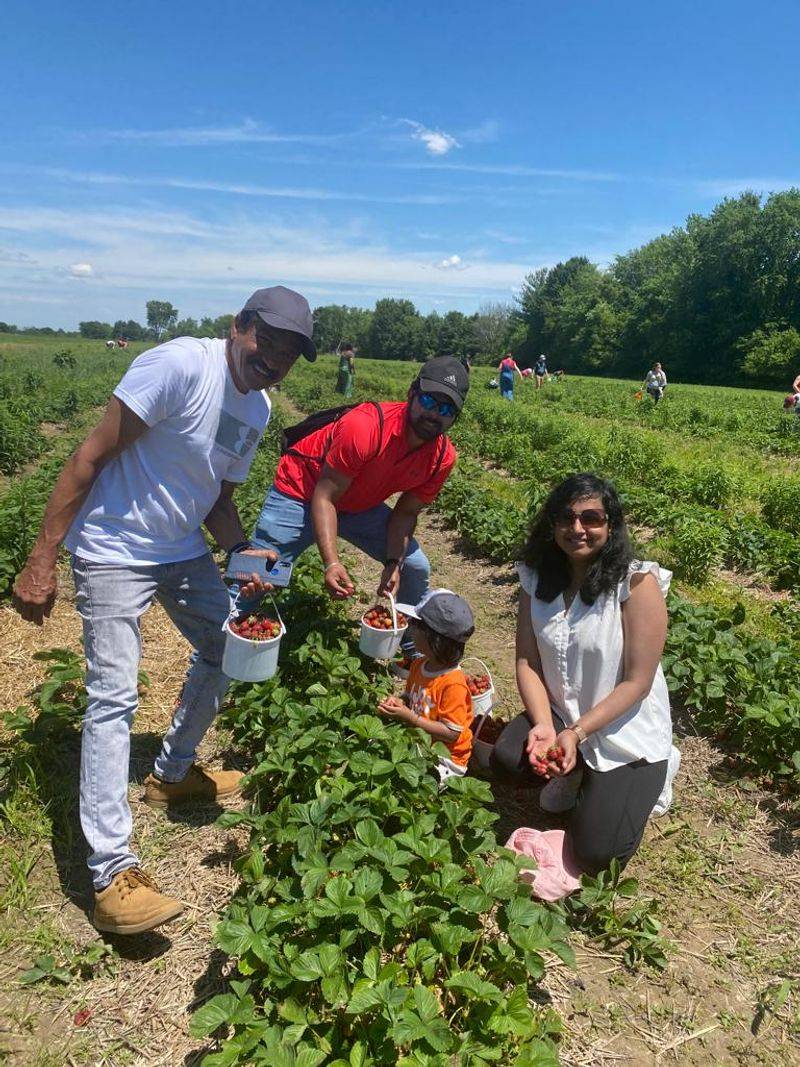 Jefferies Orchard — Springfield, Illinois